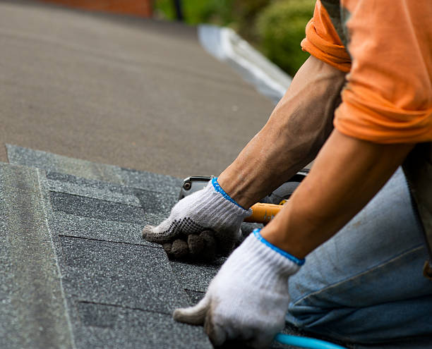 Professional Roofing Contractor in Homerville, GA