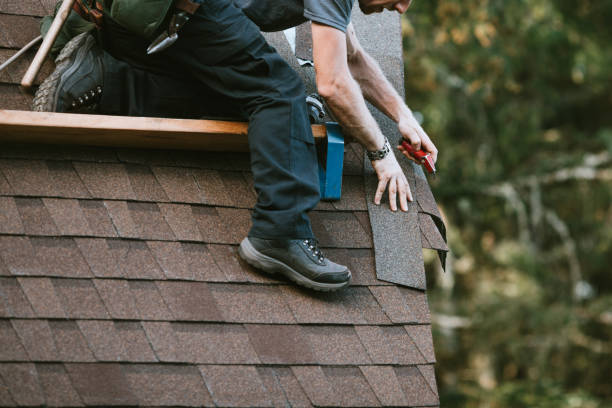 Best Roof Leak Repair  in Homerville, GA